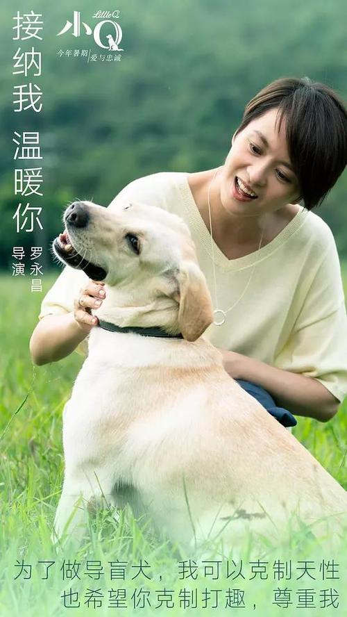 购买假北诺丁汉学院文凭毕业证